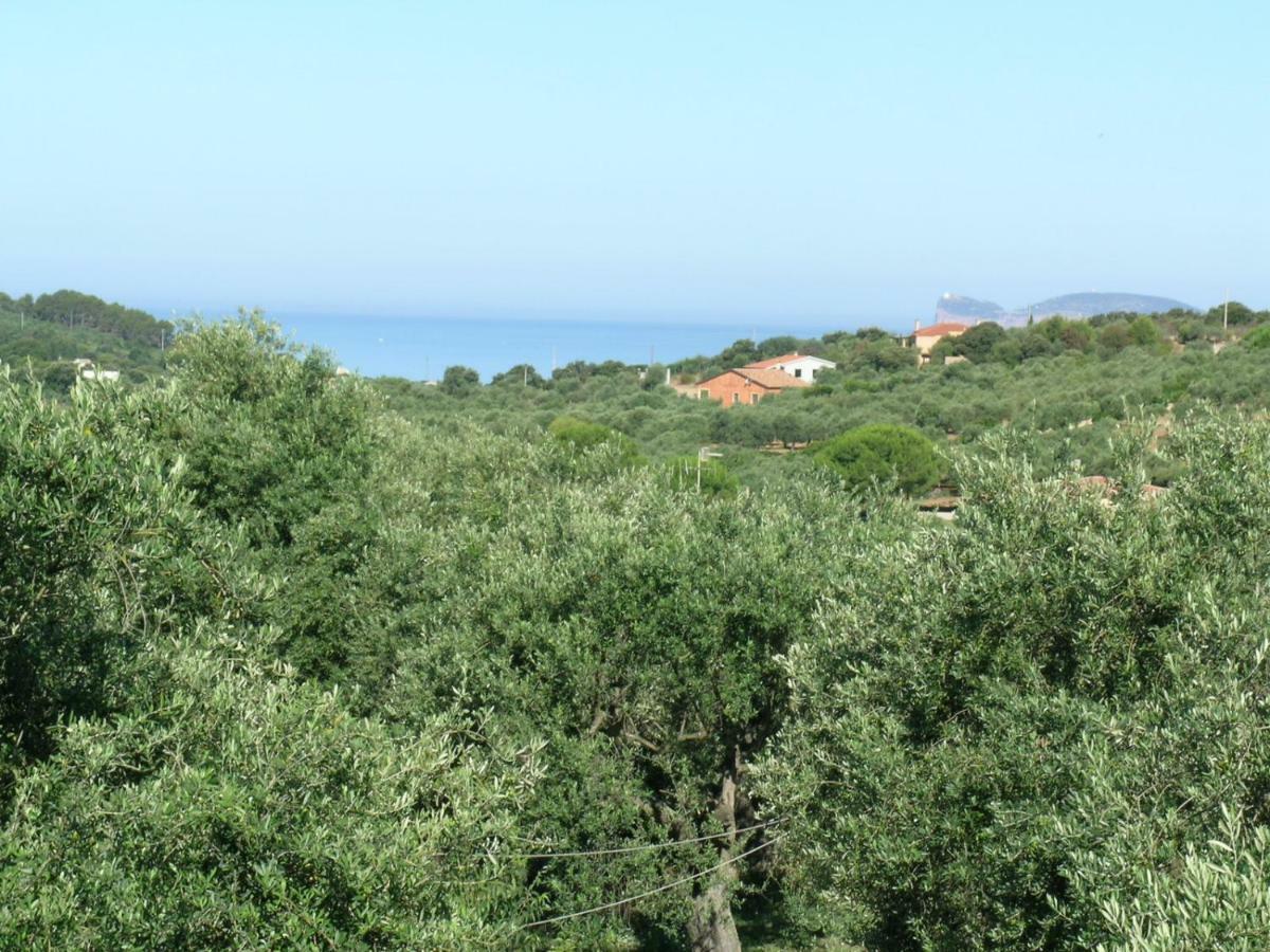 Villa La Scaletta Alguer Exterior foto